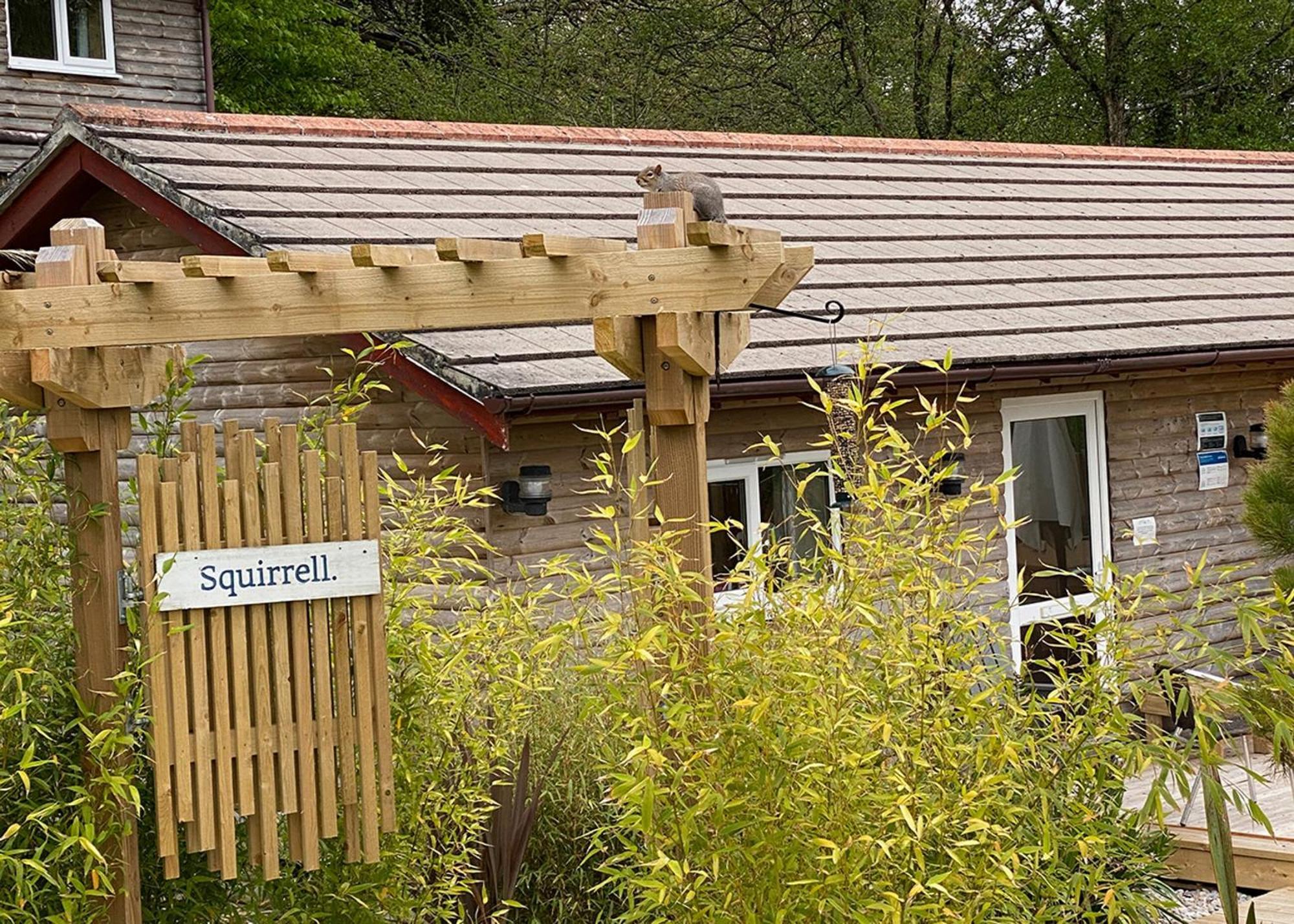 Ivyleaf Combe Lodges Stratton  ภายนอก รูปภาพ